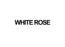 WHITE ROSE